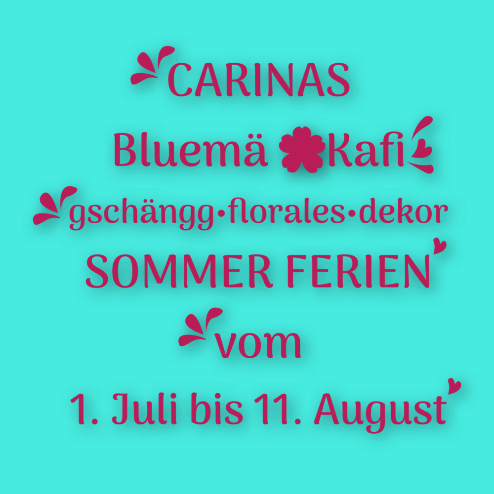 Wir sind am Strand, in den Bergen, am Nordpol
